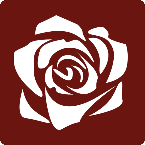 High quality roses