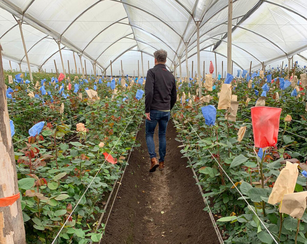 grower-rosefarm-roses-ecuador visiting our growers in Ecuador