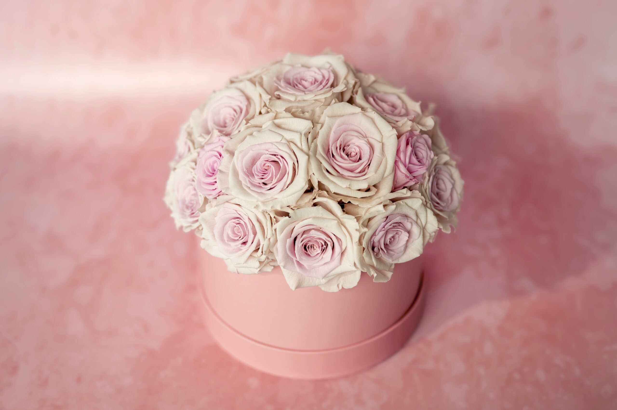 Preserved Roses Pink
