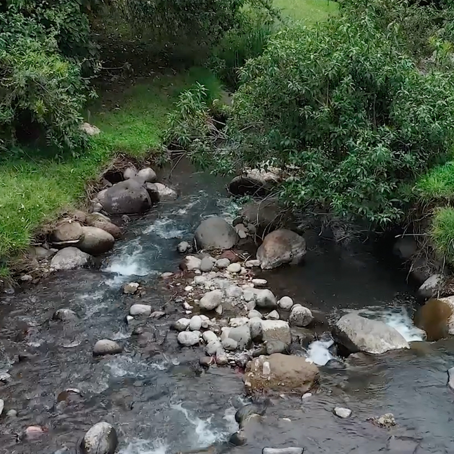 River Alkavat farm